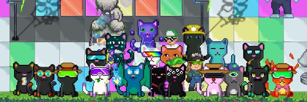 Shals|PALS's banner