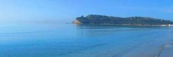 matildesjt Profile Banner