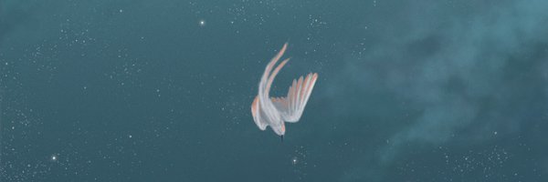 Rhucle Profile Banner