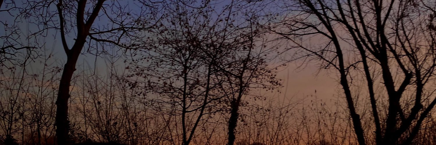 giuliaaca's profile banner image