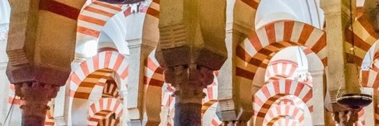 María Ríos Carrasco banner