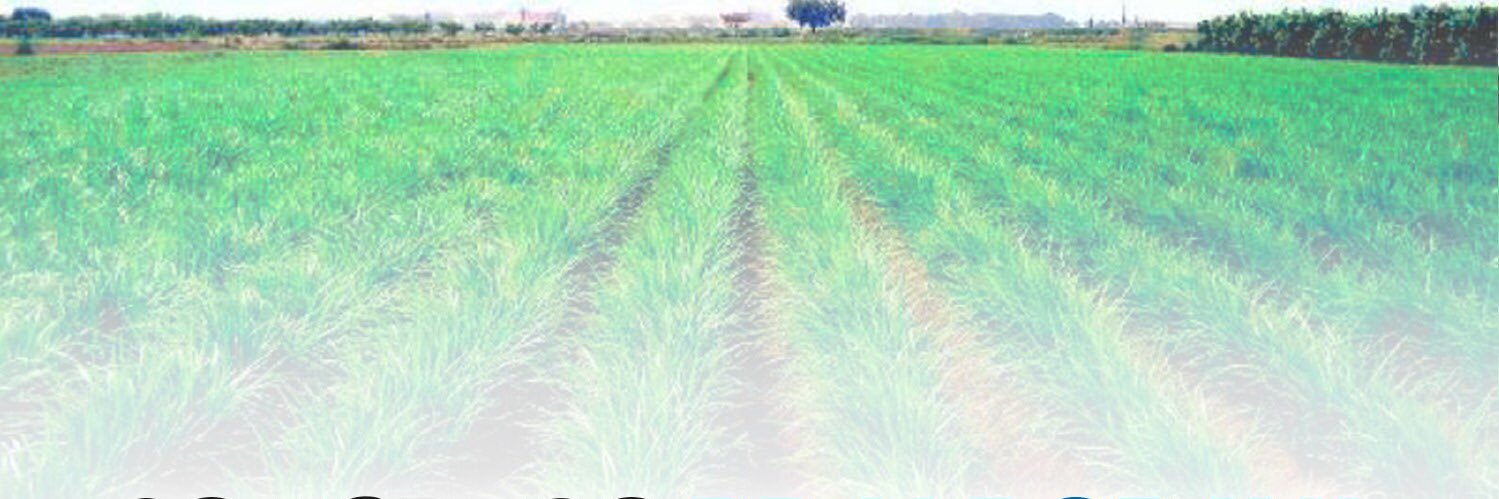 Modesto Martínez banner