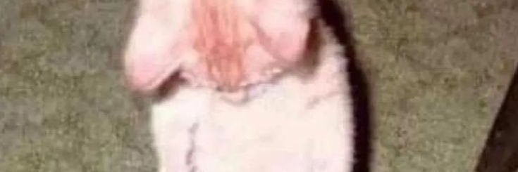 weekendergrl's profile banner image