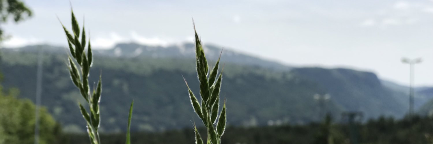 MonteMagnola's profile banner image