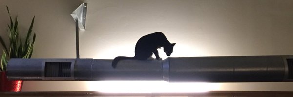 danallen Profile Banner