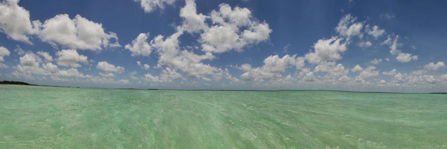 Lauran Driver banner