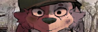 pepfur's banner