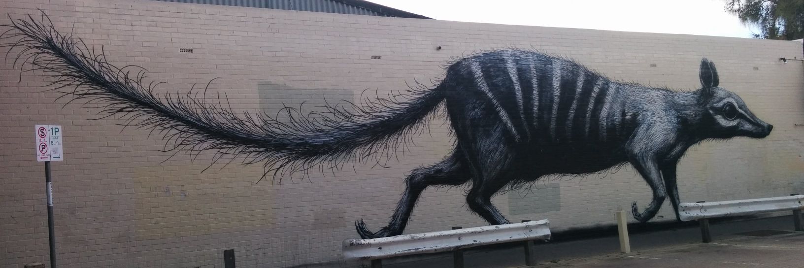 Flip Phlouton banner