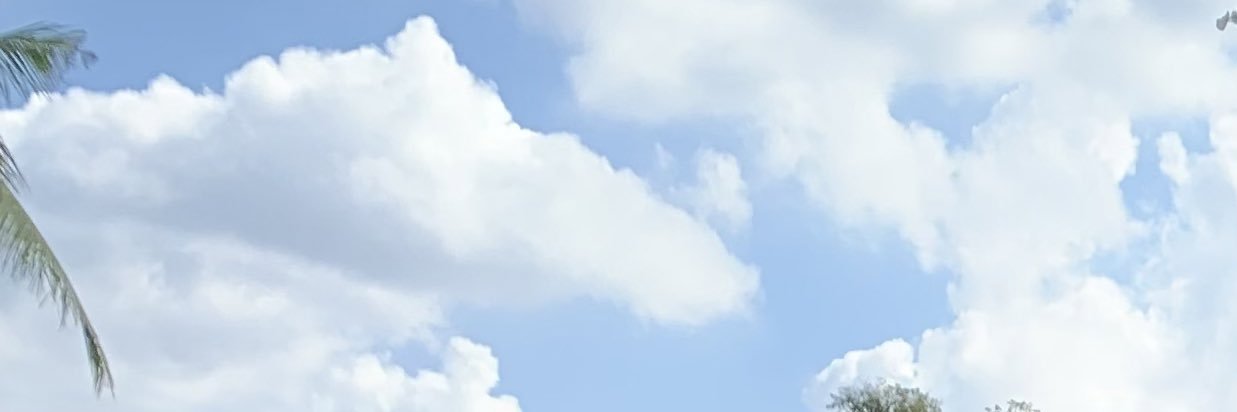 Brightsora banner
