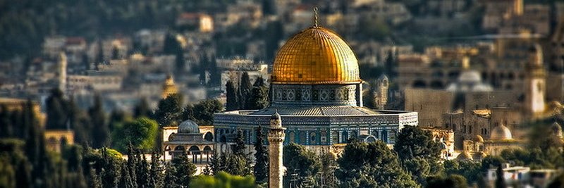 Sebahat Apuhan banner