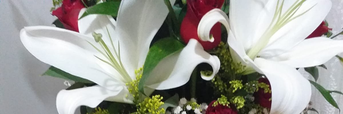 cerberus000's profile banner image
