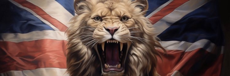 callosino's profile banner image