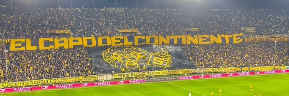 ara banner