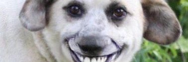 FcayulP's profile banner image