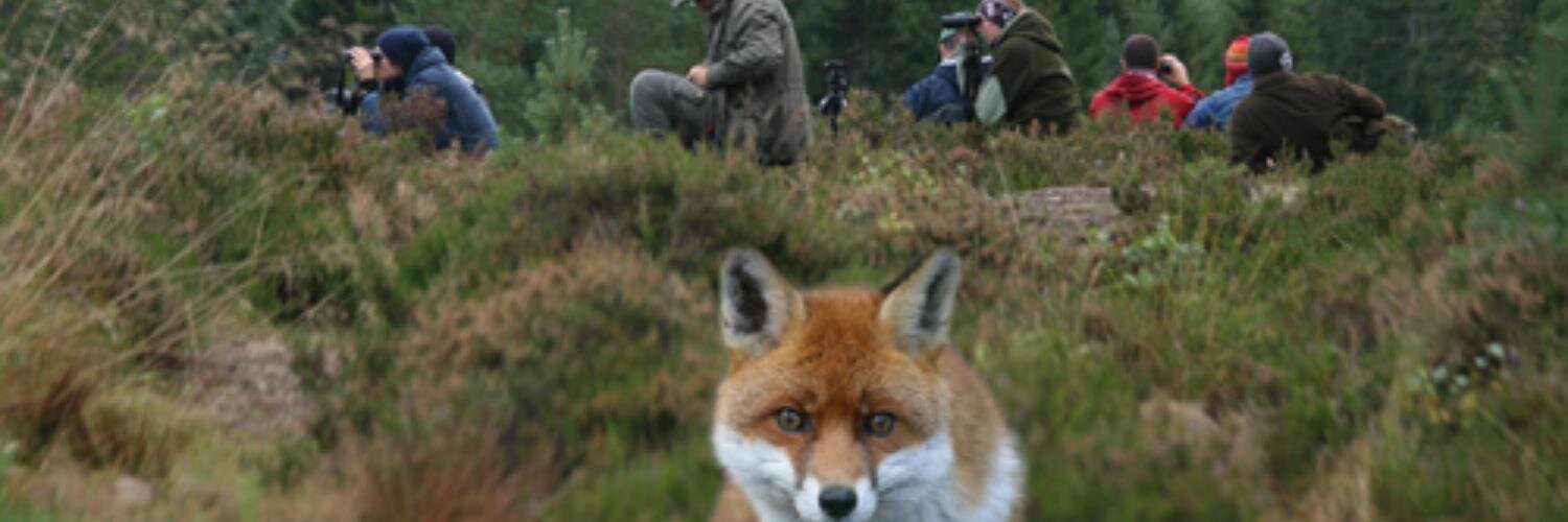 Mr_Stage's profile banner image
