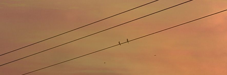 ☁️ banner