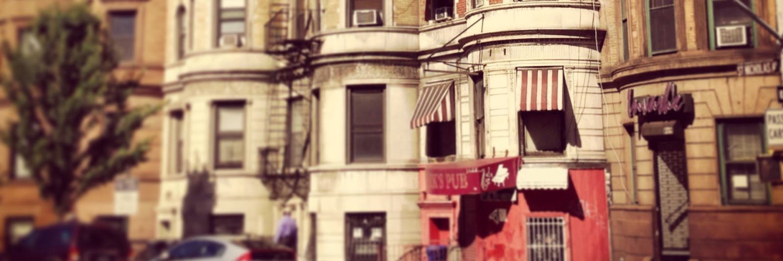Sam Rosaldo banner