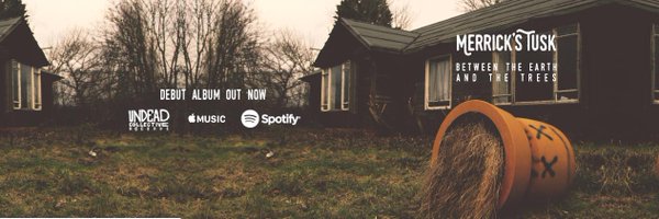 Merrickstusk Profile Banner