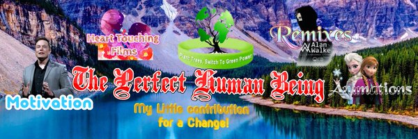PerfectHuman306 Profile Banner