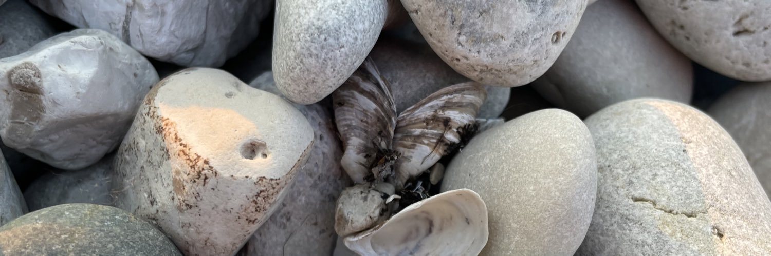 Zahra (Miss. A) banner