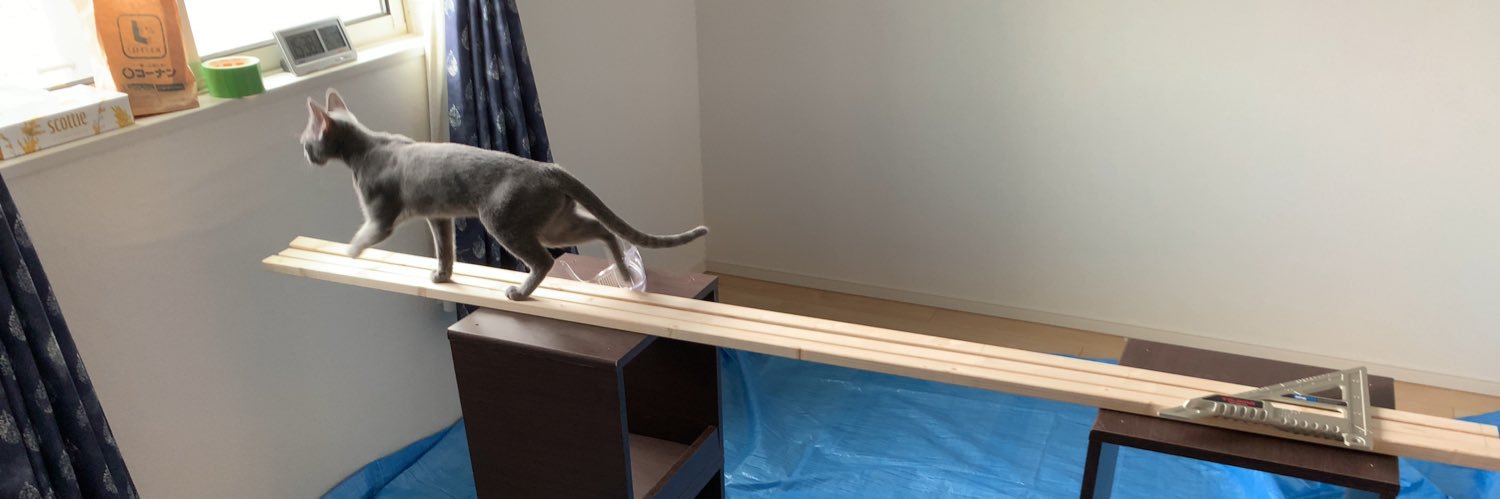 まっきー🐈‍⬛ banner