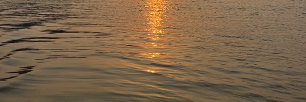 1c6h5no2 Profile Banner