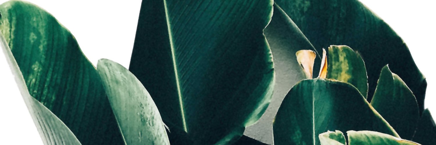 IMontngr's banner