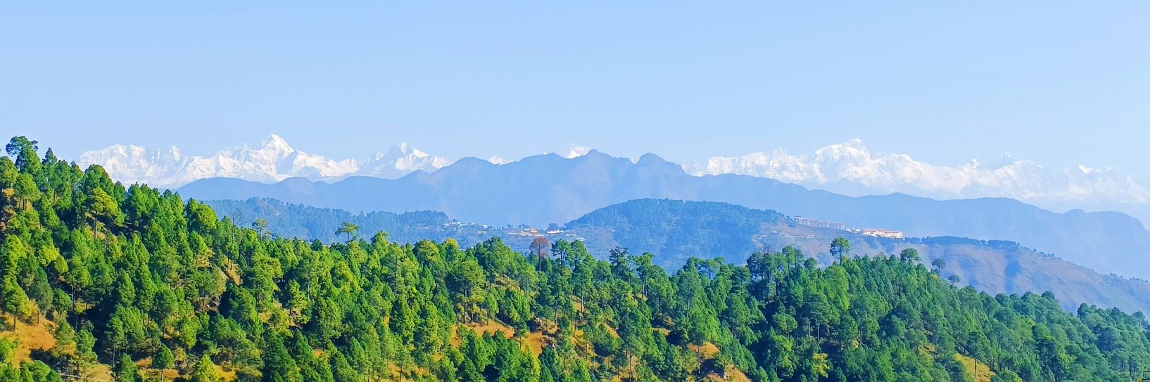 Aman Bahuguna banner
