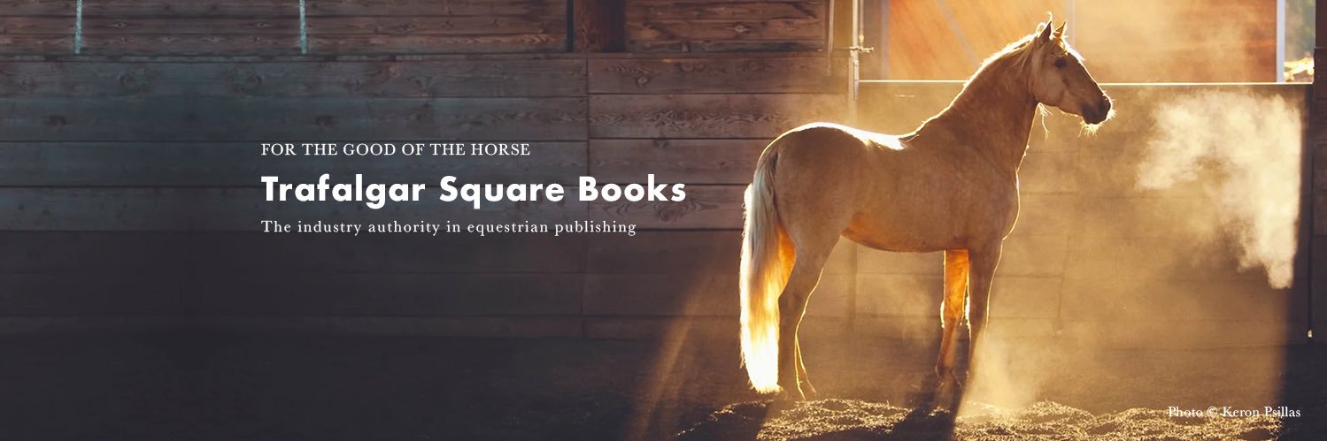 HorseandRiderBooks banner