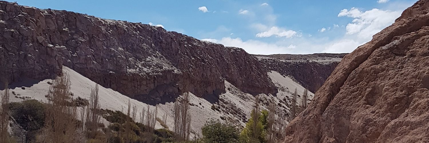 Tomas Leon banner