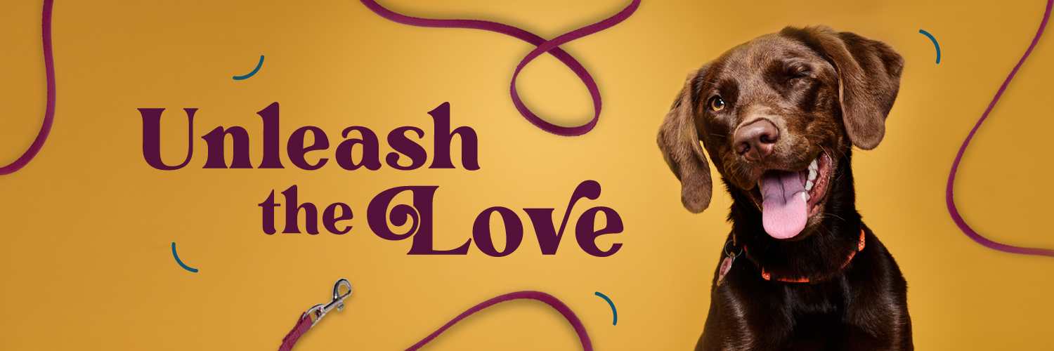 WoofTrax's profile banner image