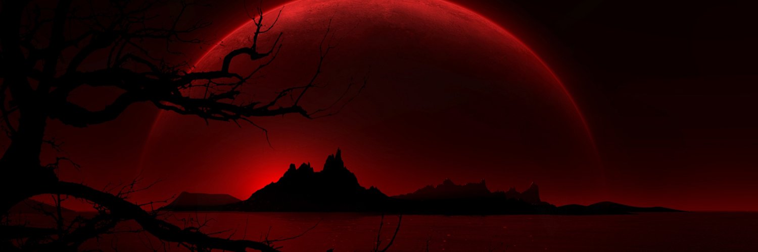 Vibey 🌹 banner