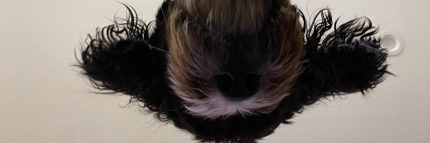 bardcantwell's profile banner image