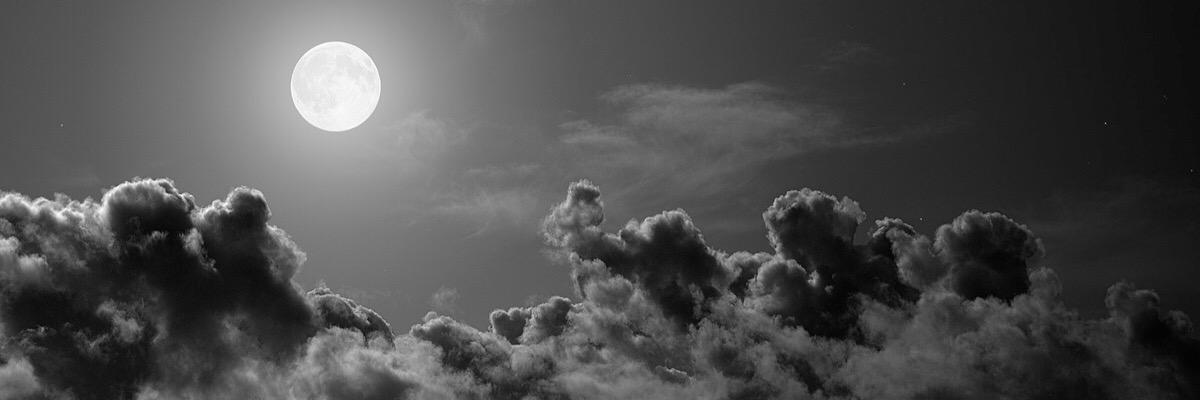 WhyMaxey's profile banner image