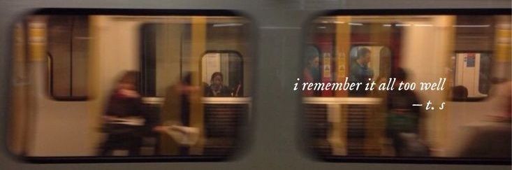 saith 🪡🤍's banner