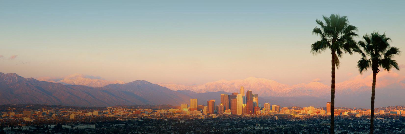 michaelloop's profile banner image