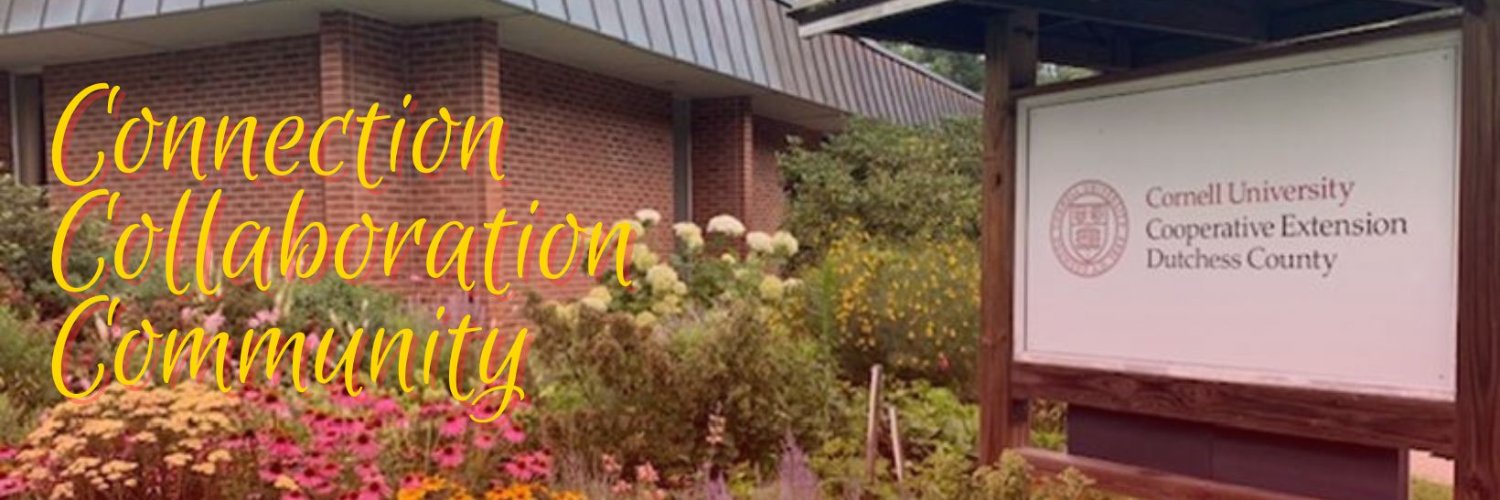 CCE Dutchess County banner