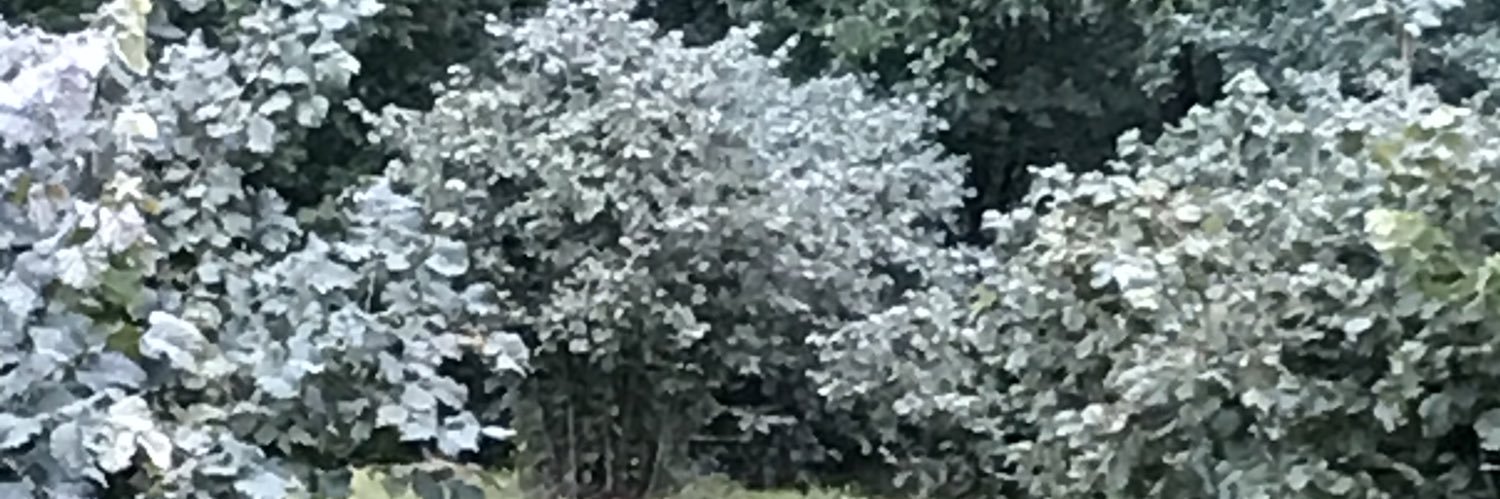 RemziAtalar's profile banner image