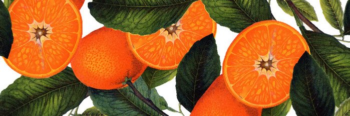 macagarciam's profile banner image