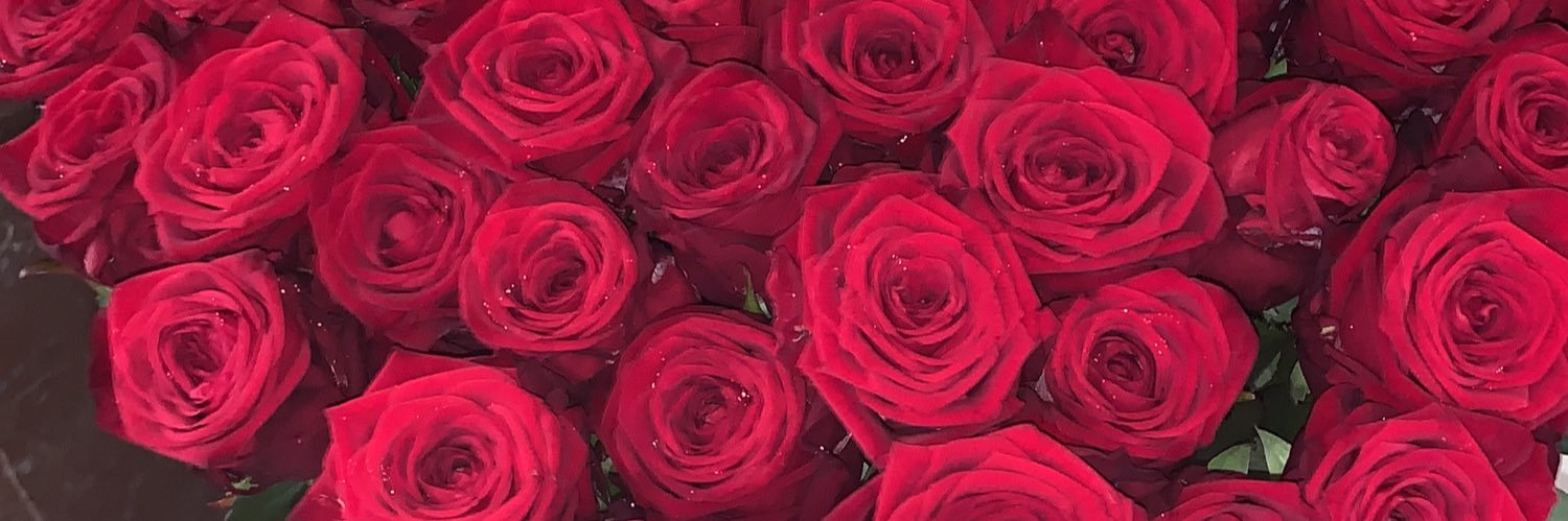 Ingrid310's profile banner image
