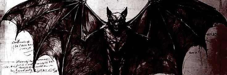 bumblerei's profile banner image