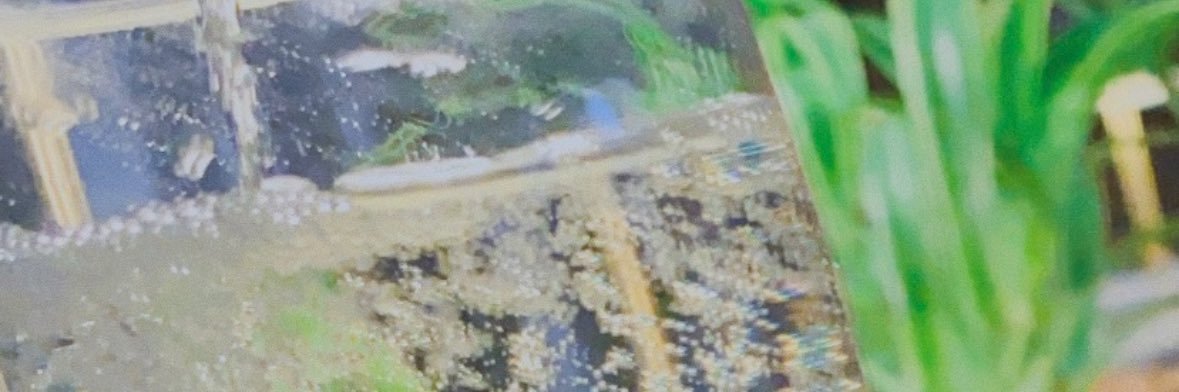 neskahve's profile banner image