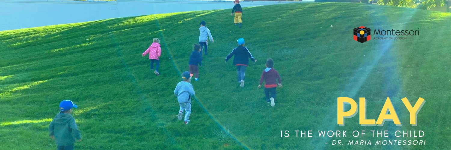 MontessoriLDNCA banner