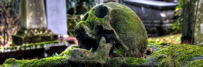 barnabazennaro's profile banner image