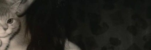 z 🦦 banner