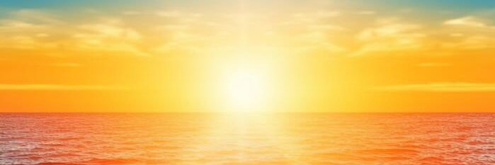 🌸🌞🌸's banner