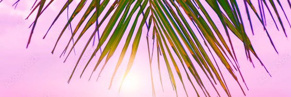 SummerLuvX0 Profile Banner