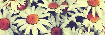 MariaLauraUgoli's profile banner image