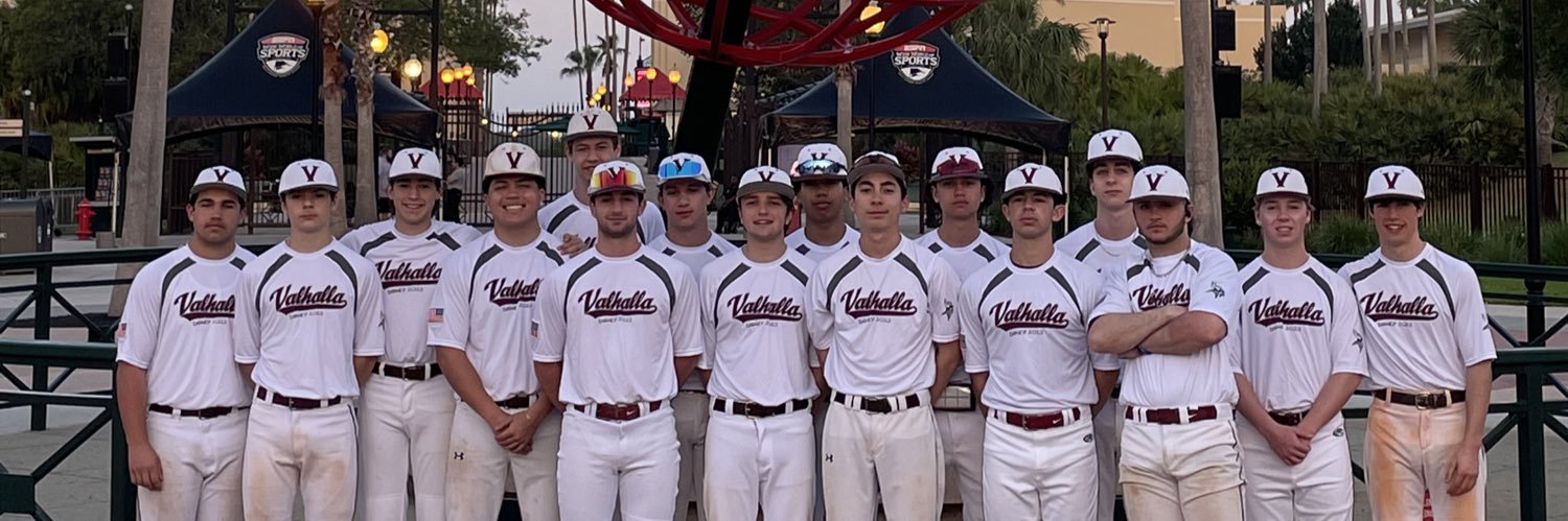 Valhalla Baseball banner