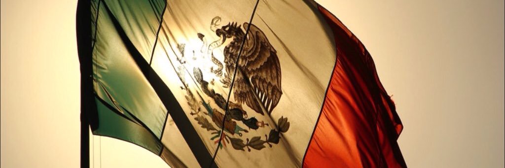 anacecysw's profile banner image